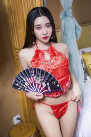 完美奴仆